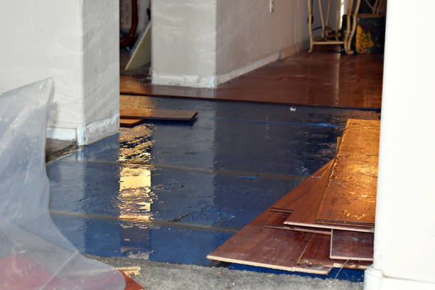 Professional Burst Pipe Cleanup technician working in Roach, MO